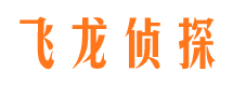 莱山市侦探公司